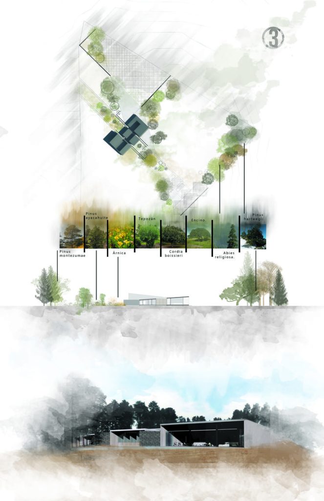 architectural presentation